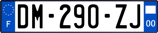 DM-290-ZJ