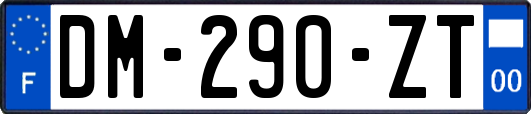 DM-290-ZT