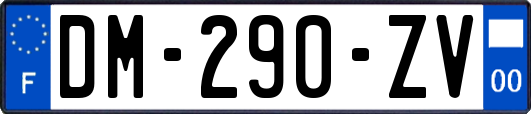 DM-290-ZV