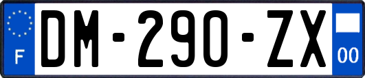 DM-290-ZX