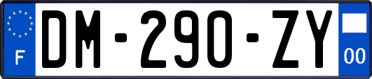 DM-290-ZY