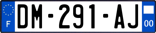 DM-291-AJ