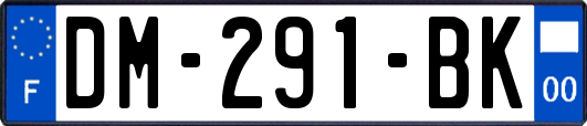 DM-291-BK