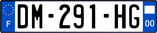 DM-291-HG