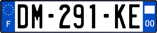 DM-291-KE