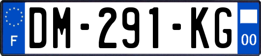 DM-291-KG