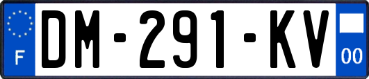 DM-291-KV