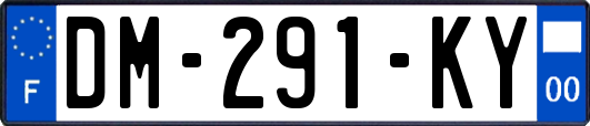 DM-291-KY