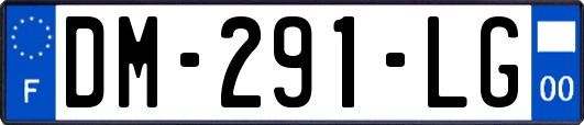 DM-291-LG