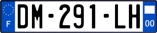 DM-291-LH