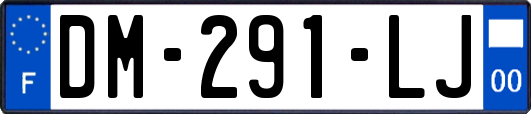 DM-291-LJ