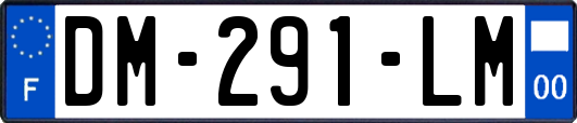 DM-291-LM