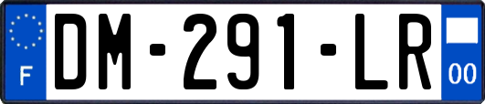 DM-291-LR