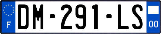 DM-291-LS