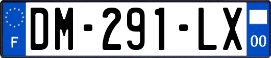 DM-291-LX