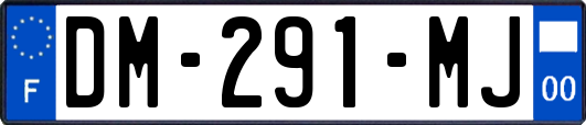 DM-291-MJ