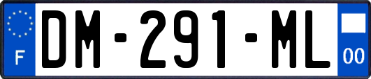 DM-291-ML