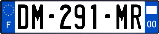 DM-291-MR