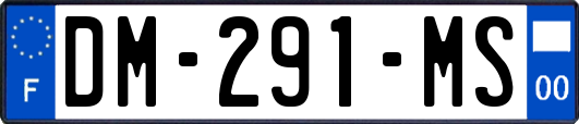 DM-291-MS