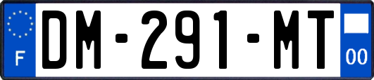 DM-291-MT