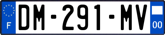 DM-291-MV