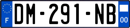 DM-291-NB