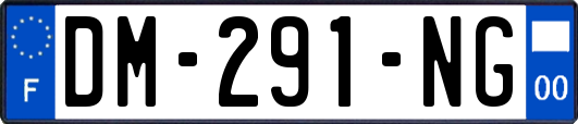 DM-291-NG