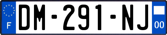 DM-291-NJ