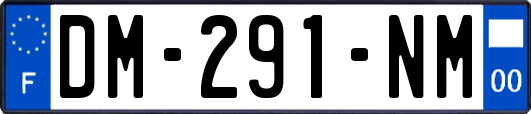 DM-291-NM