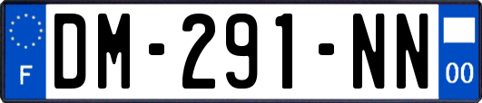 DM-291-NN