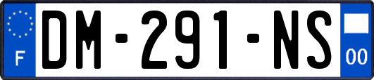 DM-291-NS