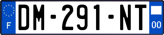 DM-291-NT