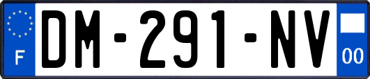DM-291-NV