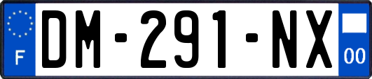 DM-291-NX
