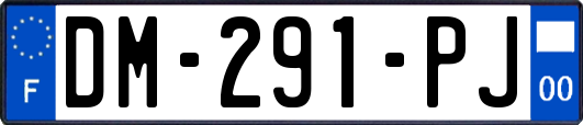 DM-291-PJ