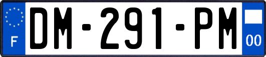 DM-291-PM
