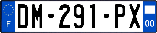 DM-291-PX