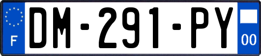 DM-291-PY