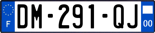 DM-291-QJ