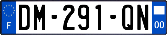 DM-291-QN