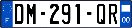 DM-291-QR