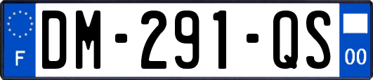 DM-291-QS