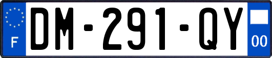 DM-291-QY