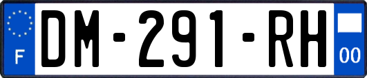 DM-291-RH