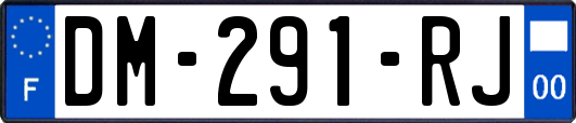 DM-291-RJ