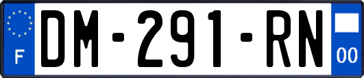 DM-291-RN