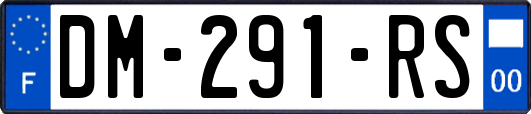 DM-291-RS