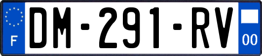 DM-291-RV