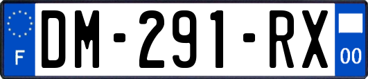 DM-291-RX