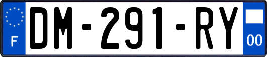 DM-291-RY